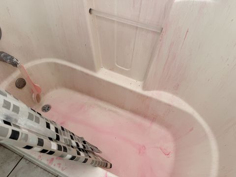 Photo Jan 26 2026, 11 13 17 AM