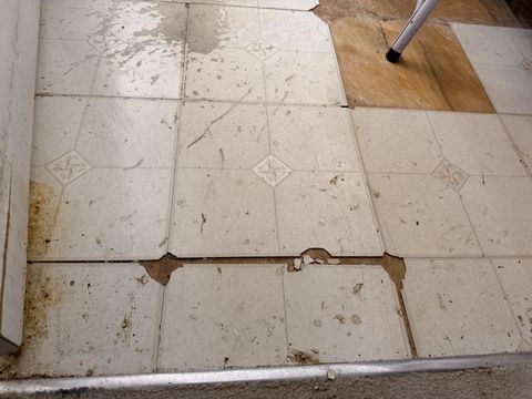 Photo Jan 26 2026, 11 13 56 AM