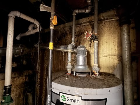 Photo Jan 26 2026, 12 20 01 PM