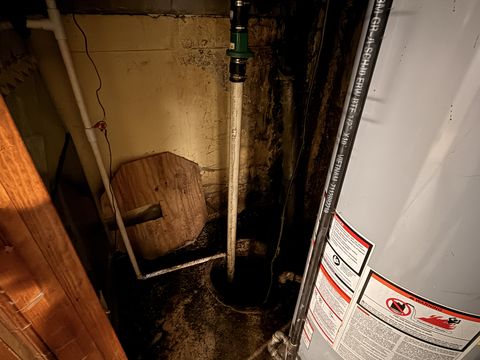 Photo Jan 26 2026, 12 20 09 PM