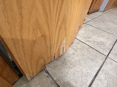 Photo Jan 26 2026, 12 20 43 PM