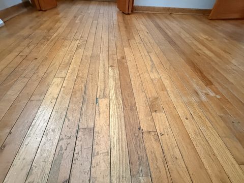 Photo Jan 26 2026, 12 21 55 PM