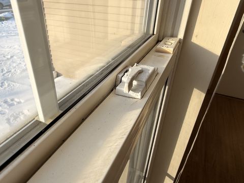 Photo Jan 29 2026, 8 36 54 AM