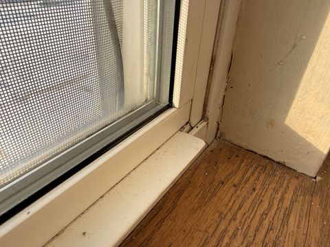 Photo Jan 29 2026, 8 36 57 AM