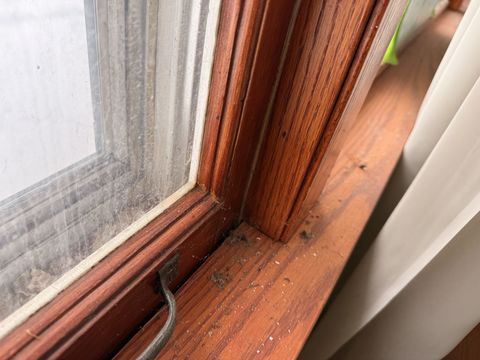 Photo Feb 02 2026, 11 54 17 AM