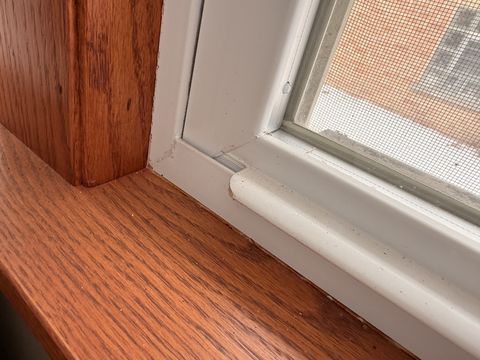 Photo Feb 02 2026, 11 54 30 AM