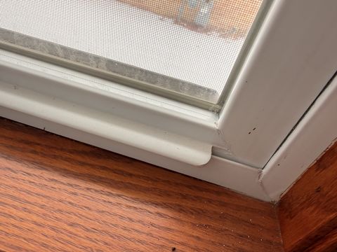 Photo Feb 02 2026, 11 54 32 AM