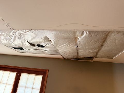 Photo Feb 02 2026, 11 55 13 AM