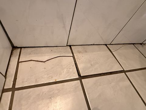 Photo Feb 05 2026, 10 27 48 AM