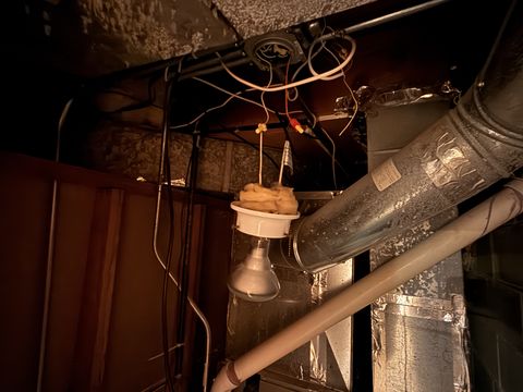 Photo Feb 05 2026, 10 30 12 AM