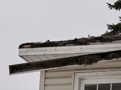 Photo Feb 05 2026, 9 35 13 AM