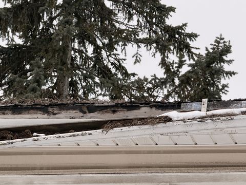 Photo Feb 05 2026, 9 35 15 AM