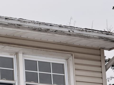 Photo Feb 05 2026, 9 35 18 AM