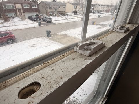 Photo Feb 05 2026, 9 37 41 AM