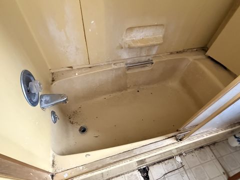 Photo Feb 05 2026, 9 38 18 AM