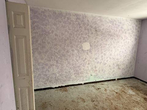 Photo Feb 05 2026, 9 38 36 AM