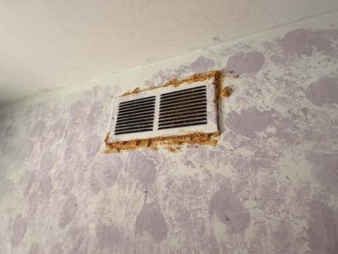 Photo Feb 05 2026, 9 38 46 AM