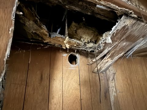 Photo Feb 05 2026, 9 39 33 AM