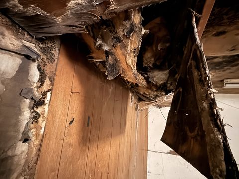 Photo Feb 05 2026, 9 39 38 AM