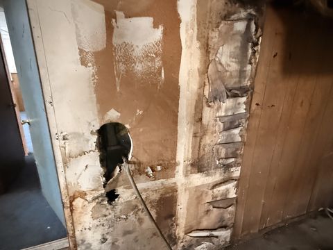 Photo Feb 05 2026, 9 39 40 AM