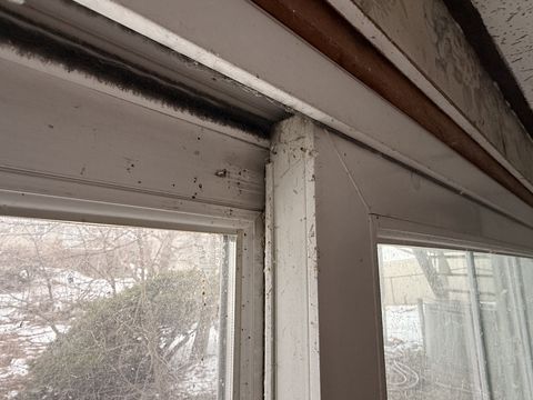 Photo Feb 05 2026, 9 40 16 AM