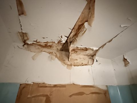 Photo Feb 05 2026, 9 40 27 AM