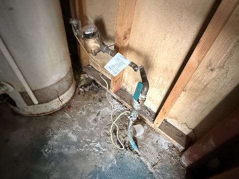 Photo Feb 05 2026, 9 40 58 AM