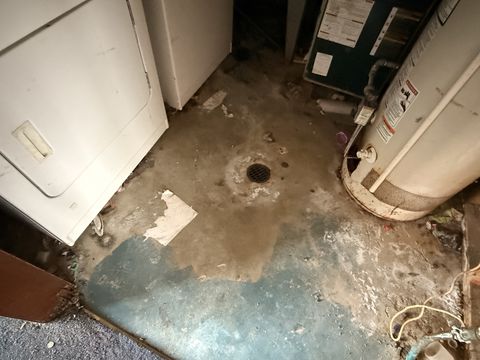 Photo Feb 05 2026, 9 41 01 AM