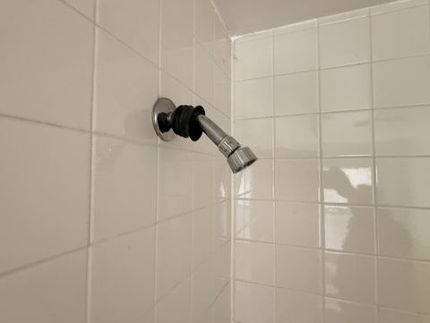 Photo Feb 06 2026, 9 50 18 AM