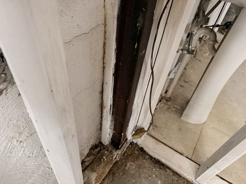 Photo Feb 06 2026, 9 53 25 AM