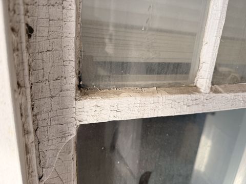 Photo Feb 10 2026, 9 20 22 AM