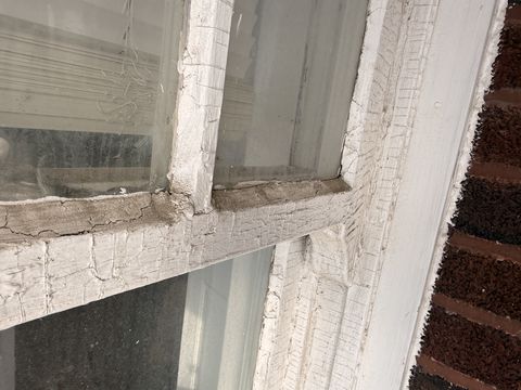 Photo Feb 10 2026, 9 20 23 AM