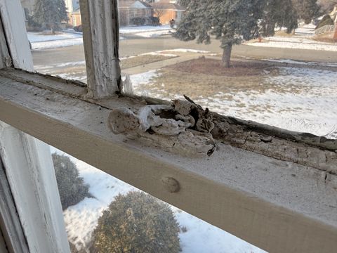 Photo Feb 10 2026, 9 24 14 AM