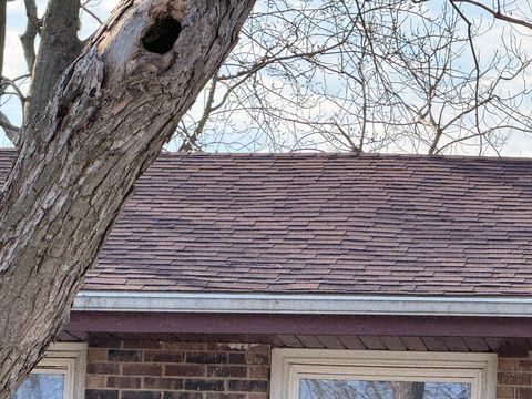 Photo Feb 13 2026, 2 41 00 PM