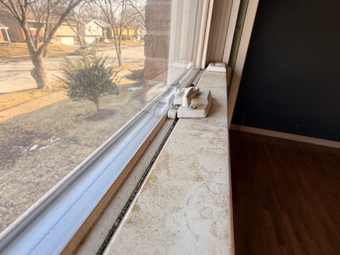 Photo Feb 13 2026, 2 43 26 PM