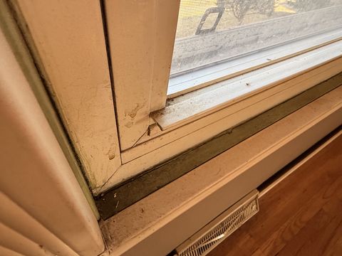 Photo Feb 13 2026, 2 43 29 PM