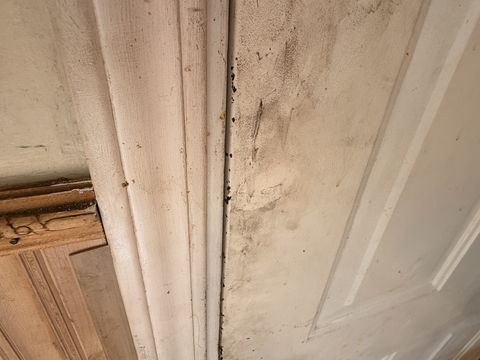 Photo Feb 13 2026, 2 44 06 PM