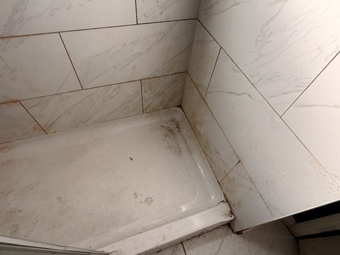 Photo Feb 13 2026, 2 45 32 PM