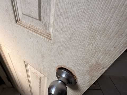 Photo Feb 13 2026, 2 45 35 PM