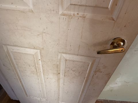 Photo Feb 13 2026, 2 45 56 PM