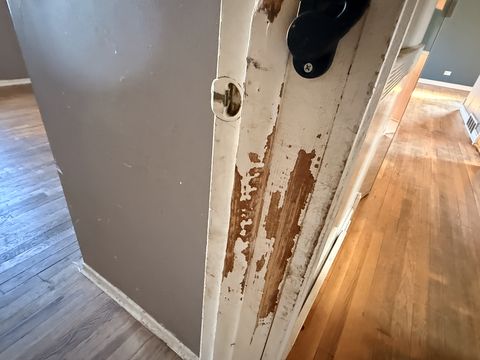 Photo Feb 13 2026, 2 46 18 PM