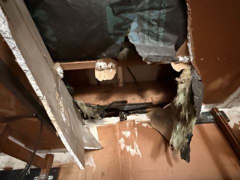 Photo Feb 13 2026, 2 48 28 PM