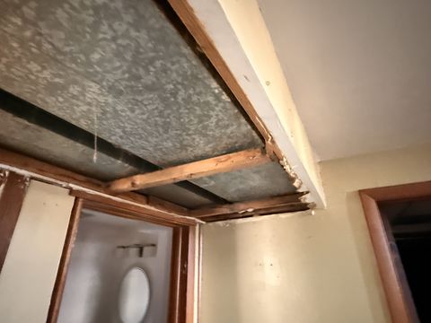 Photo Feb 13 2026, 2 48 47 PM