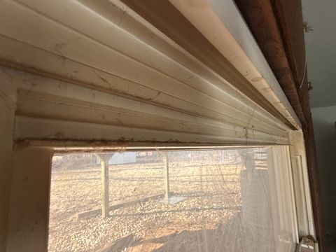 Photo Feb 13 2026, 2 49 16 PM