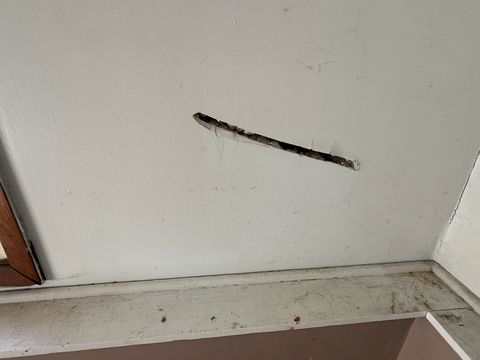 Photo Feb 13 2026, 2 49 20 PM