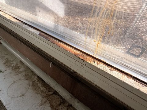 Photo Feb 13 2026, 2 49 23 PM