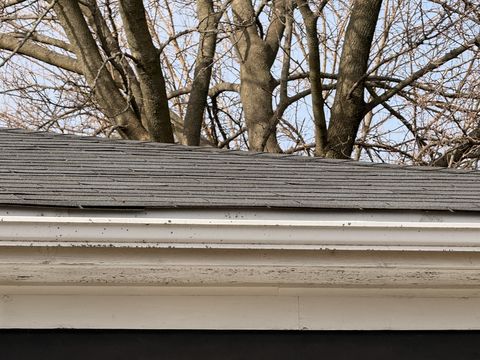 Photo Feb 16 2026, 10 23 04 AM