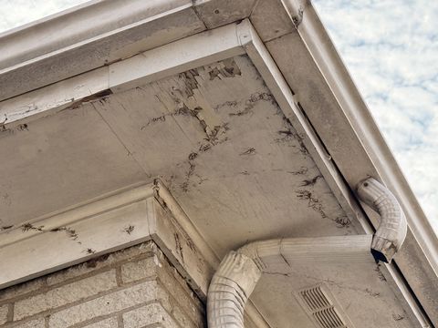 Photo Feb 16 2026, 10 24 36 AM