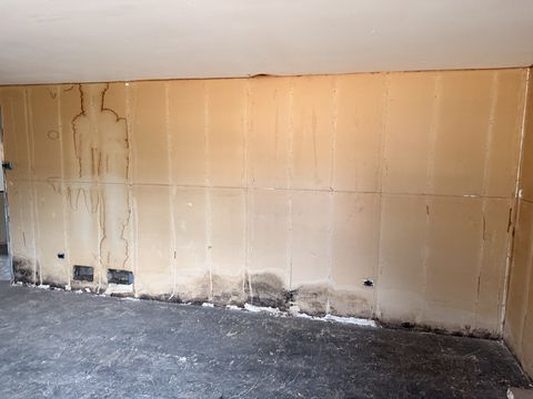 Photo Feb 16 2026, 10 29 37 AM