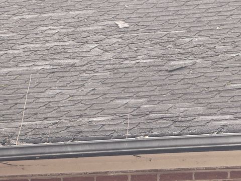 Photo Mar 13 2026, 10 10 21 AM